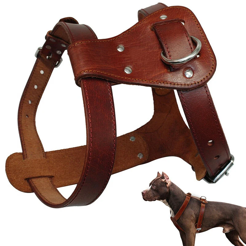 brown leather dog harness