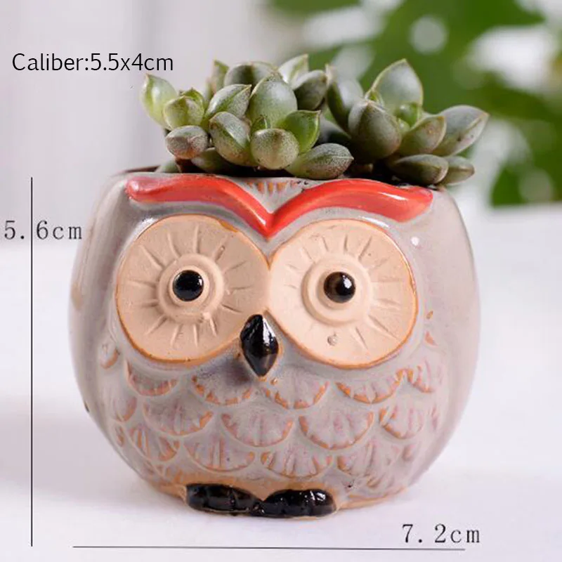 6 Pcs-set Mini Owl Flowerpot Plant Flower Pot Home Office Decor Planter Succulent Cactus Bonsai Plant Holder Garden decoration (10)