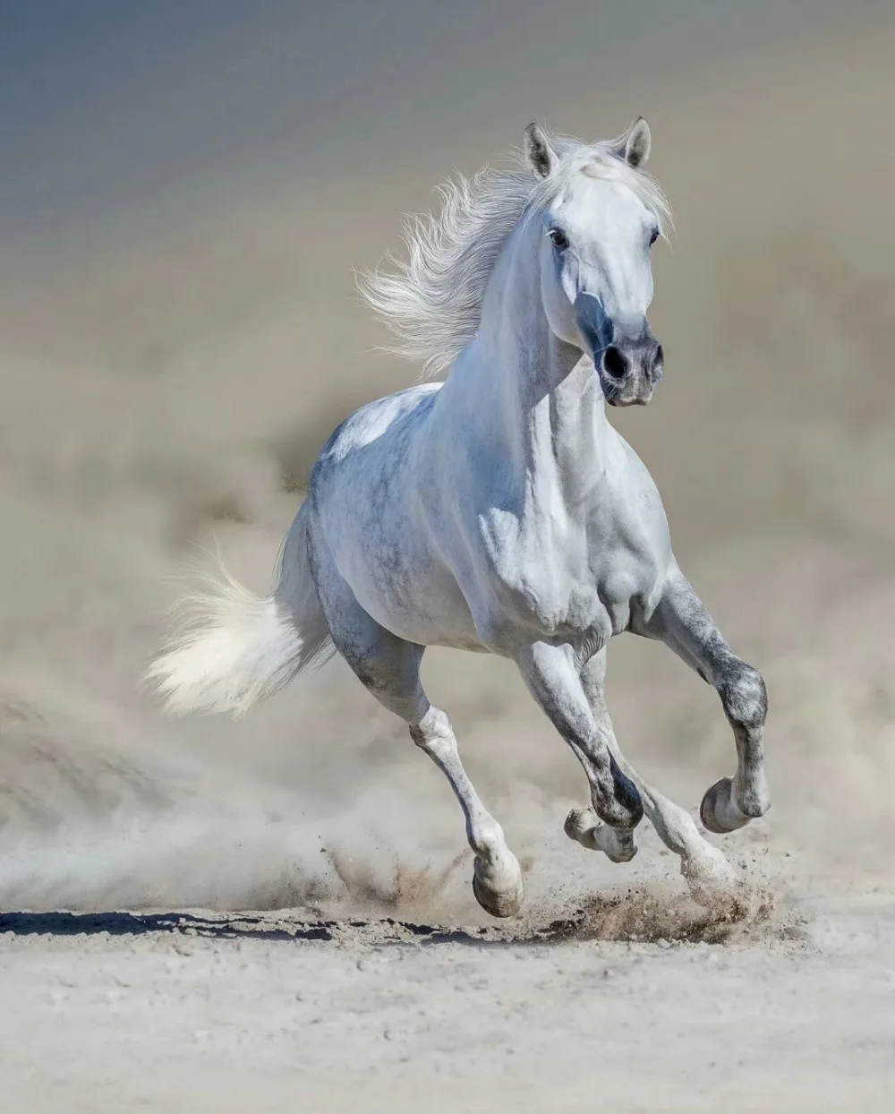 mmexport1568179987252