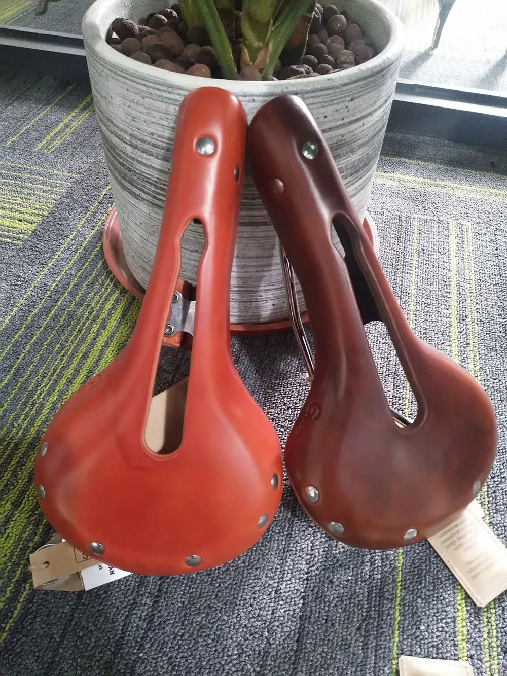 QQ图片20200523110403