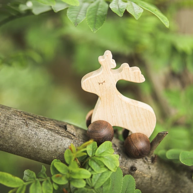Nordic Style Wooden Toys for Children Montessori Maple Wooden Building Block Car Baby Educational Toys Newborn Baby Toddler Toys 5