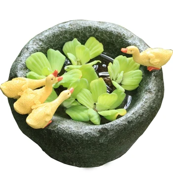 

Botany Flowerpot Personality Fleshy Floral Organ Imitation Stone Mortar Duckling Ornament Potted Plant Decorate Practice Gift