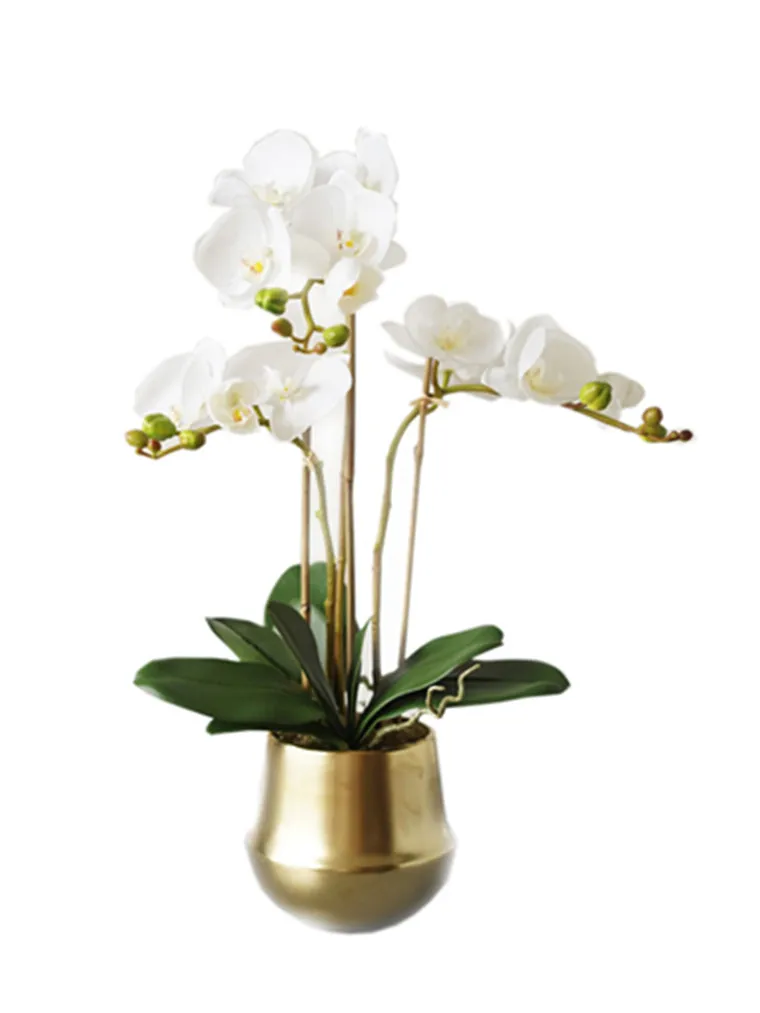 Индиго-(3 цветка+ 3 листа), белый орхидеи, настоящий цветок на ощупь, для свадебной вечеринки, декоративное событие