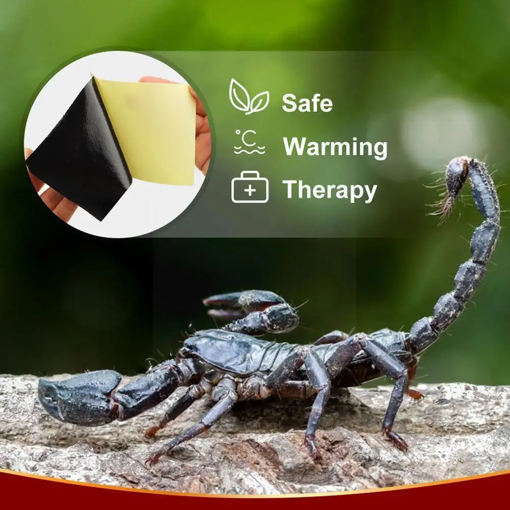 Pain Relief Medicated Patch Plaster Scorpion Venom Patches Ache Sticker Knee Rheumatism Arthritis B T5Y5 | Красота и здоровье