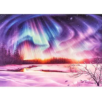 

4 Pack Aurora Elk 5D DIY Diamond Painting Kits Full Drill Rhinestone Embroidery X4YD