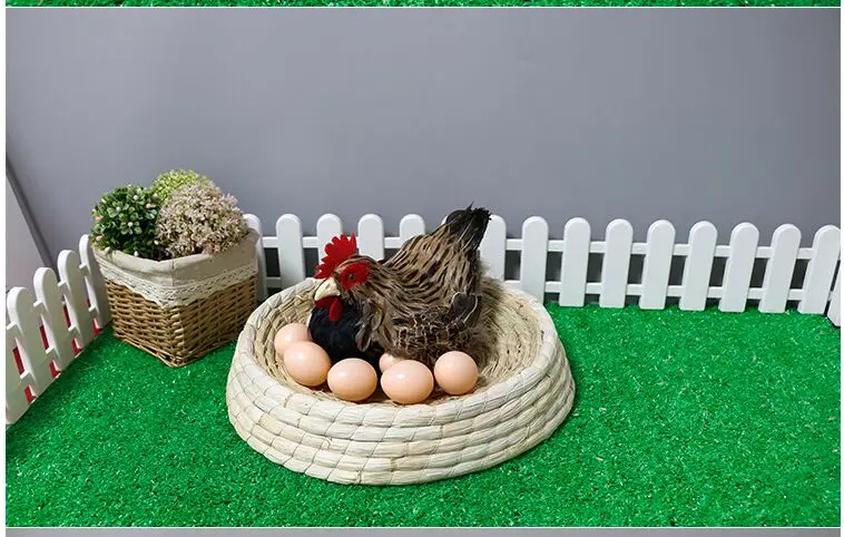Имитация курицы модель животного стоящая Курица Перо игрушка кукла Ремесла образование дисплей фотография украшение супермаркетов реквизит
