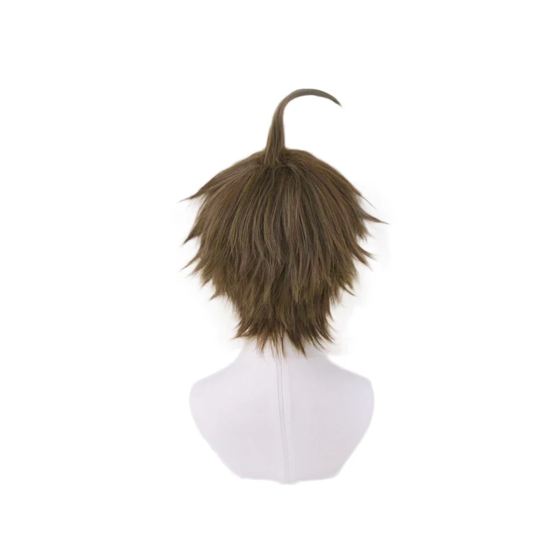 Alsocool Anime Danganronpa Hinata Hajime Short Wig Cosplay Costume Dangan Ronpa Heat Resistant Synthetic Hair Men Wigs -Zentai shop online Hda8b0162608c4b3fac47873b8f78efccZ.jpg