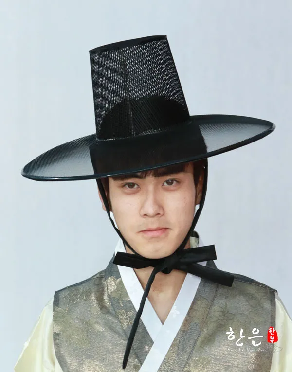 Южнокорейская импортная Мужская старинная Высококачественная сетчатая шапка/одежда шапка с сеткой/2 слоя сетки