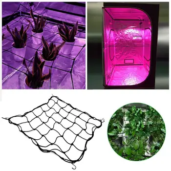 

Plant Grow Tent Plant Trellis Netting Elastic Net Grow Tent Net Plant Tent Light-receiving Elastic Net Garden Plant Growth Tool