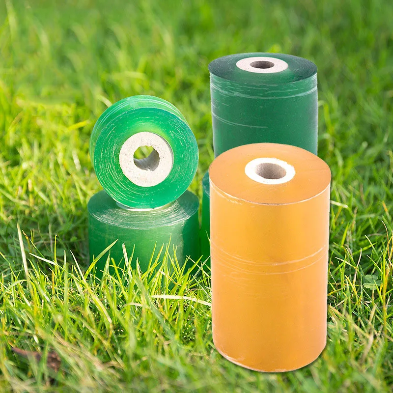 8973675972_564476010