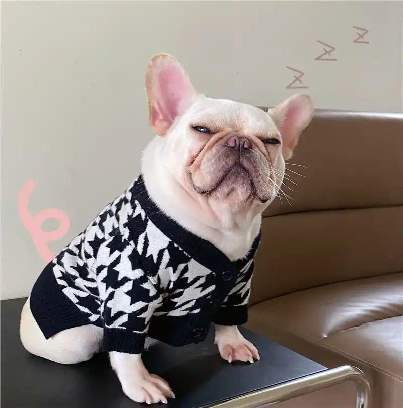 かわいい犬服ペット供給服猫服ドレスフレンチブルドッグテディシュナウザー子犬秋冬犬アパレル犬の服 犬用セーター Aliexpress