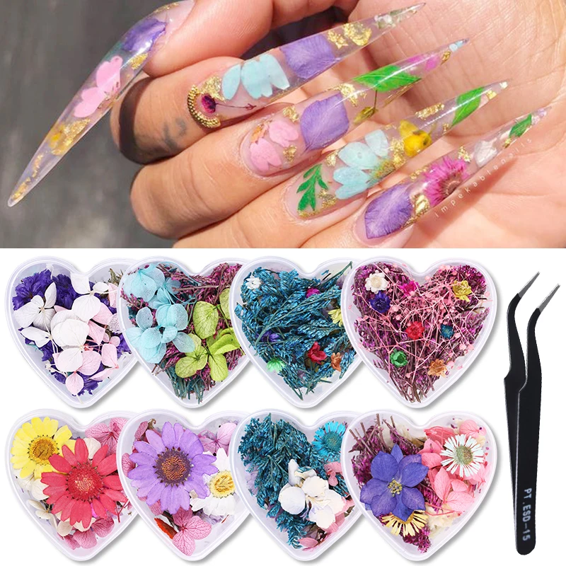 1 Box Preserved Fresh Flower Colorful Nail Dried 3D Dry Beauty Art Decals Jewelry Decorations | Красота и здоровье