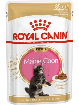 

Cat wet food Royal Canin Maine Coon Kitten spider for Maine Coon cats (pieces in sauce), Cat food, for cats, 24*85 gr