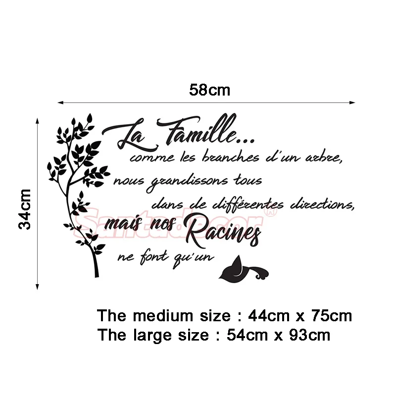 sticker_citation_la_famille_comme_les_branches_d_un_arbre_5_ali size