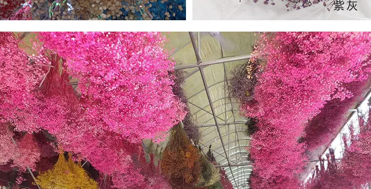 Natural Fresh Dried Preserved Flowers Gypsophila Paniculata,Baby's Breath Flower Bouquets Gift for Wedding Decoration,Valentines Natural Fresh Dried Preserved Flowers Gypsophila Paniculata,Baby's Breath Flower Bouquets Gift for Wedding Decoration,Valentines