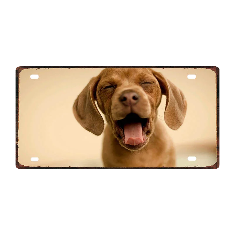 Кошка Собака 30X15 см номерной знак животных металлический знак для Wall Art Pet Shop Ресторан Хоум Винтаж декор 30X15 см DDC-0019A - Цвет: DC-0039
