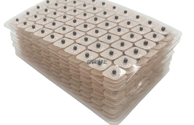 36020190316203705021