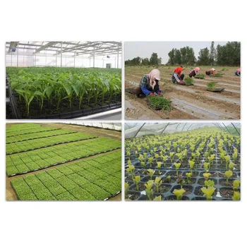 

53*27.5cm Multi-Function Plant Propagation Planting Seedings Seedling Tray 200 Cell Plant Grow Organic Nursery Pots 1pc