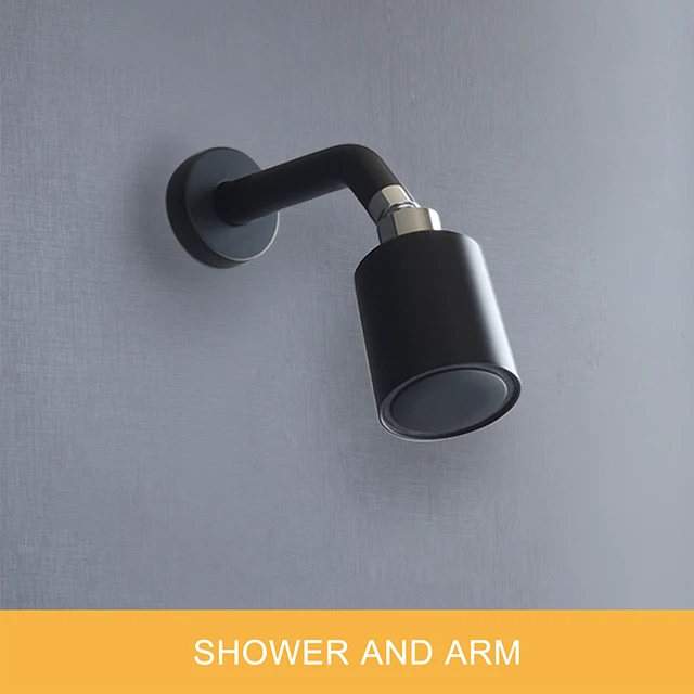 Top shower and arm