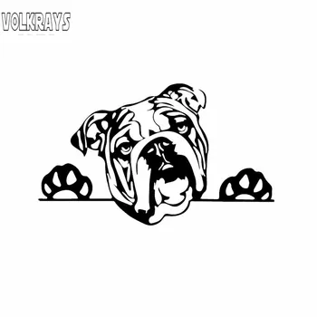 

Volkrays Funny Car Sticker Olde English Bulldog Bully Dog Pattern Accessories Reflective Vinyl Decal Black/Silver,8cm*15cm