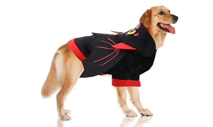 QQ截图20190820094613