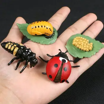 

1 Set Animal Growth Model Display Models For Children School Simulation Vinyl Toy Model Set Party Decorations