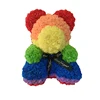 Rainbow bear