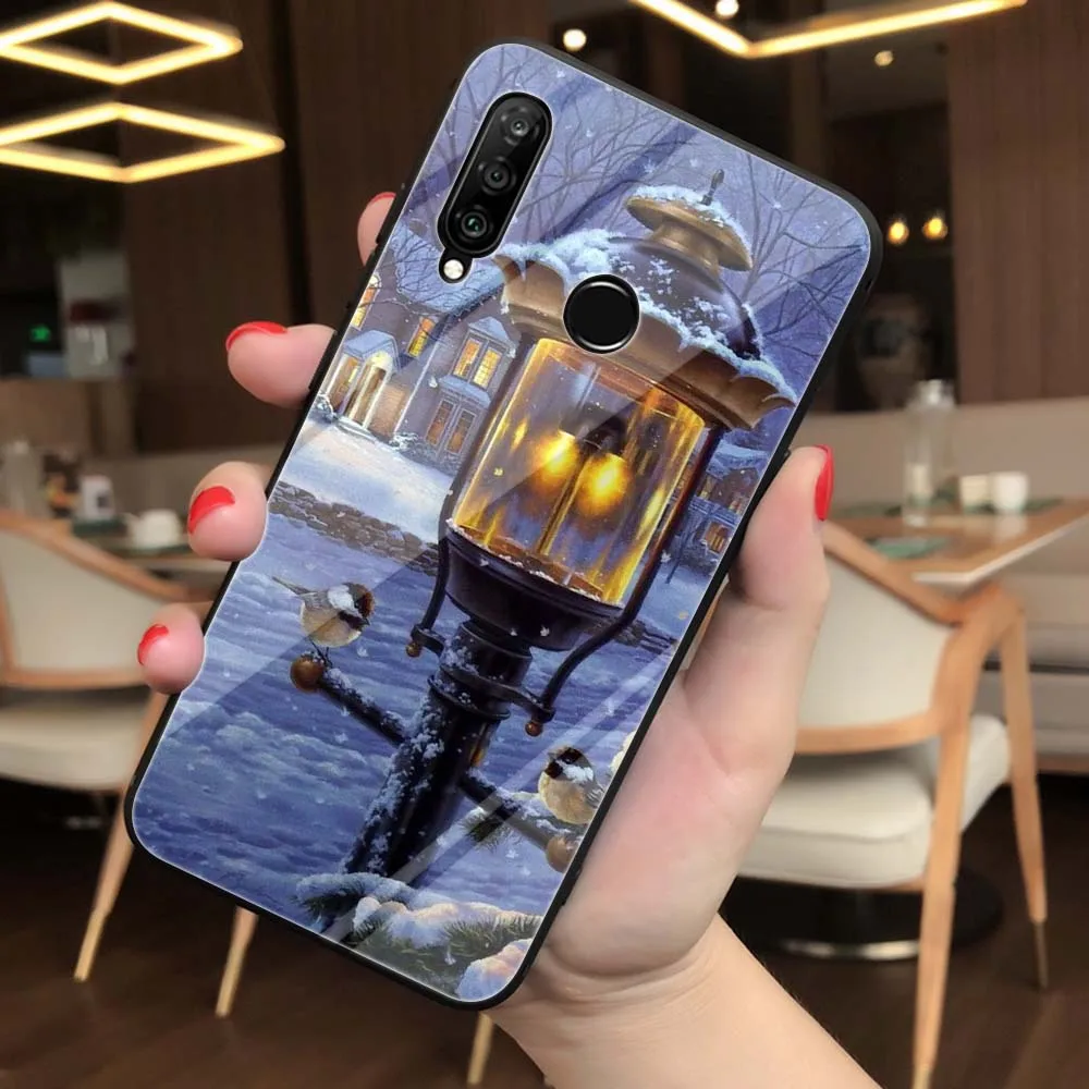 Lavaza Пейзаж Зима свет снег закаленное стекло мягкий чехол для Huawei Honor 8x9 P Smart mate 20 P10 P20 P30 Lite Pro Чехол - Цвет: TG3