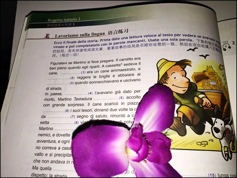 2 книги Progetto Italiano книга 3 старшеклассник быстро-форма итальянский самоученный учебник колледж итальянский Учебник+ упражнения