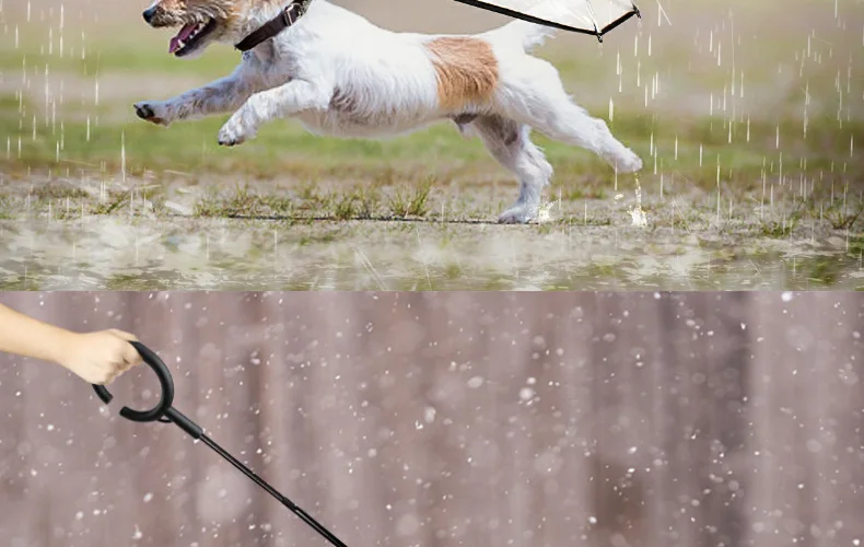 Dog Leash Umbrella