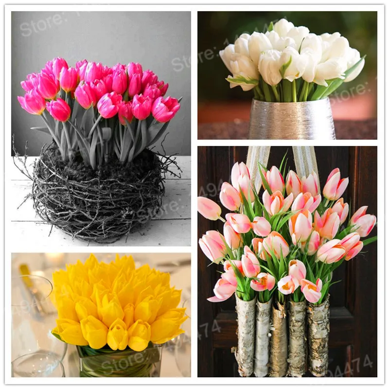 100pcs Tulip flores White Blue Purple mixed color Flower plantas bonsai flower plante colorful plants for home garden