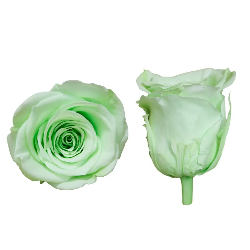 6pcs/box Flowers Rose 5-6CM Preserved Eternal Roses Box Christmas Valentine's Gifts Forever Everlasting Rose Flowers