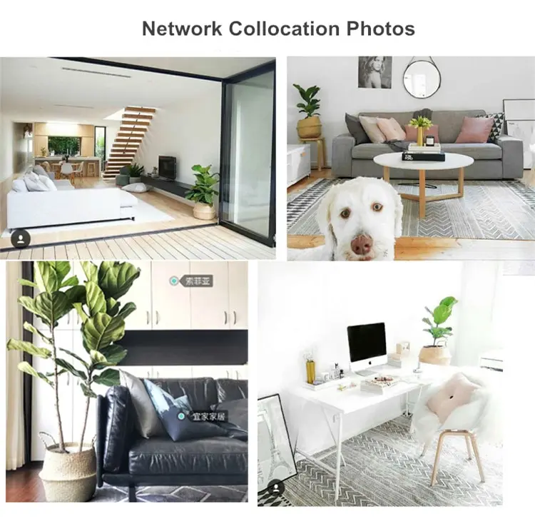 TB2W5LXtgxlpuFjSszgXXcJdpXa_!!686301717