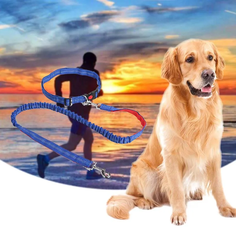

Night Reflective Elastic Nylon Breakaway Leashes Running Hand Free Waist Belt Jogging Leads Retractable Leash For Small Pet Dogs