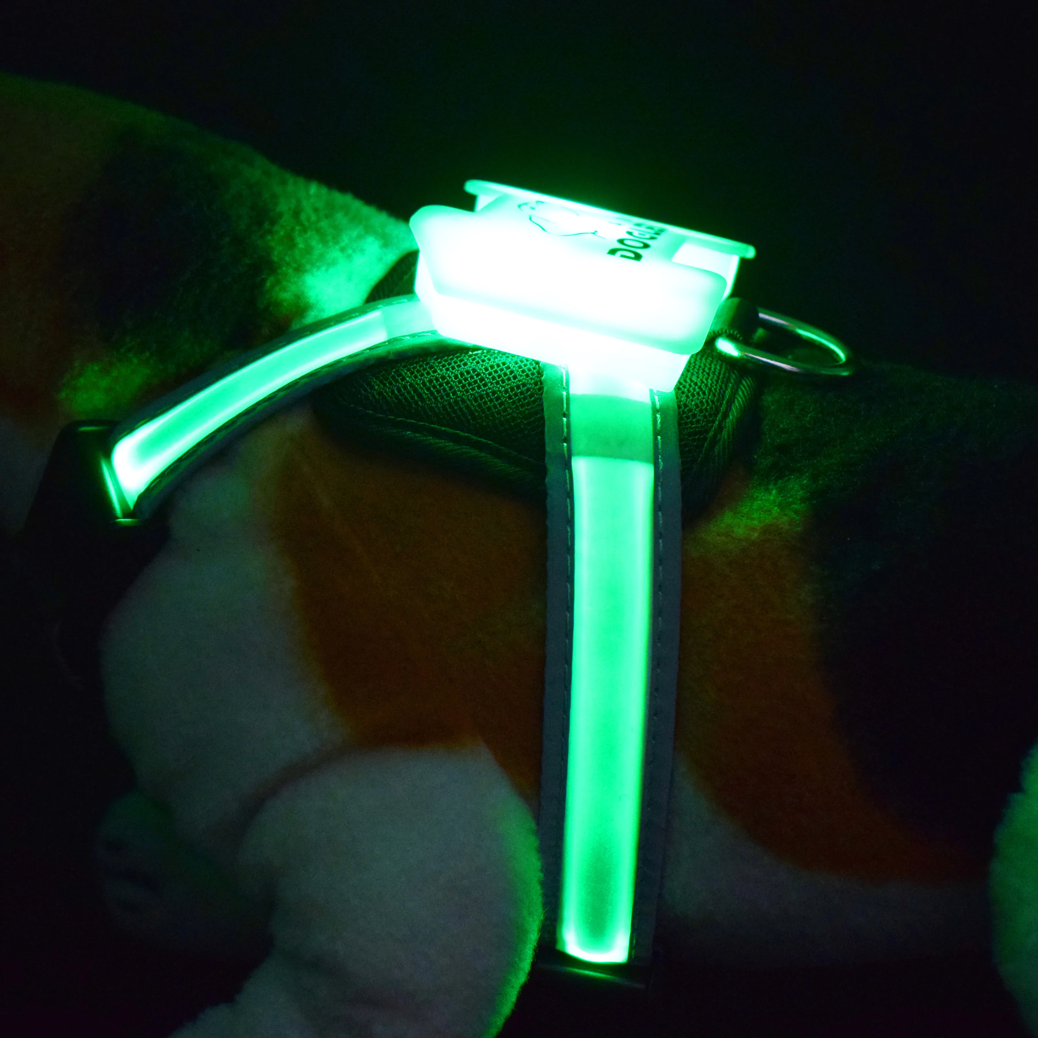 

glow led dog safety collar