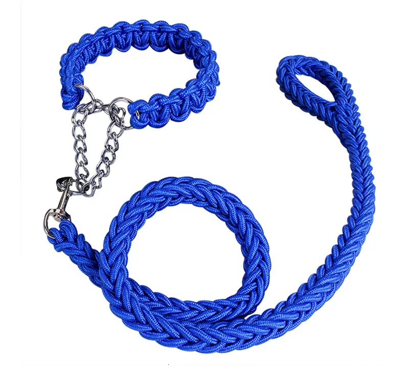 dog leash nylon