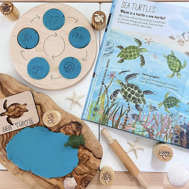 Wooden Animal Life Cycle Board Children Toys Montessori Teaching Aids Plant Growth Cycle Model Set Life Science Educational Toys 4