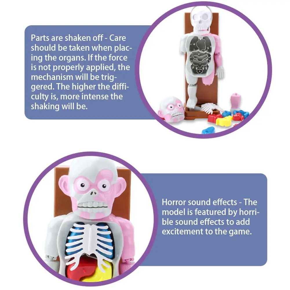  New 4D Assembled Model Human Body Model Teaching Model Puzzle Assembling Toy Desktop Game Model For - 4000376021494