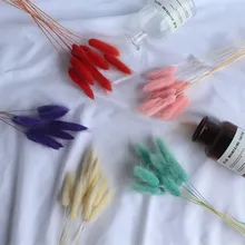 10 шт./партия цветные сушеные цветы бонсай цветение декоративное растение бонсай цветение в бонсай или горшок цветок для украшения сада