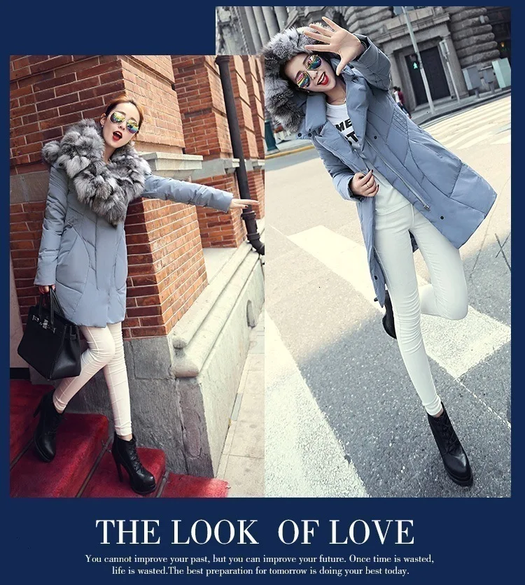 3433109819_1134262540