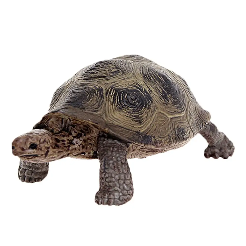 

Toys For Children's Hand Do Gift Giant Tortoise Wild Life Animal Toy Hand Model Of Giant Turtle for other