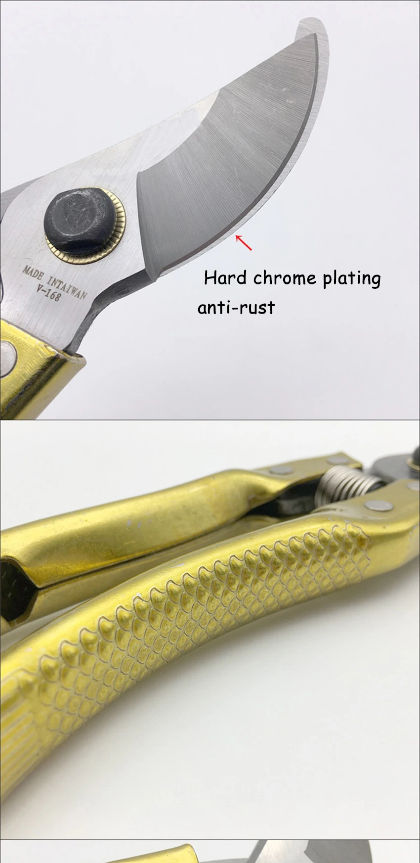 HTB14tb.LCzqK1RjSZPcq6zTepXaA 副本