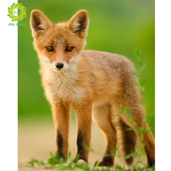 

Old Street Home 5D Diamond Painting Full Square DIY Home Decor Mosaic Rhinestone Picture Custom LOGO Canvas Wall Art fox