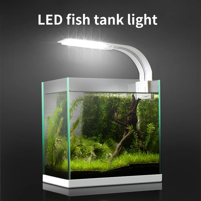 BPS Luz LED para Acuario Lámpara de Acuario 4000K Impermeable con Soporte  Extensible Iluminación led Superfina para acuario, luz para plantas  acuáticas, 20-65cm, Extensible, impermeable, con Clip, para pecera, 5-25w