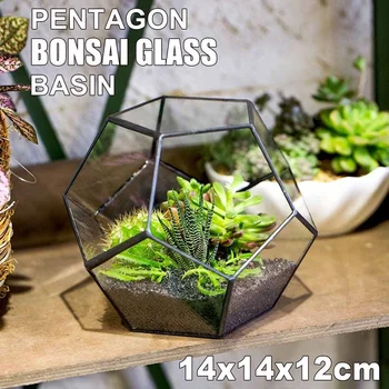 

1pcs Irregular Glass Geometric Terrarium Box Succulent Air Plant Fern Moss Pot Planter Polyhedron Display Pot Tabletop