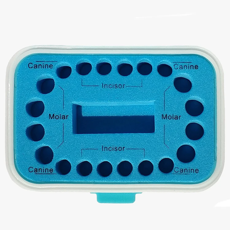 Коробочка для молочных зубов пластиковые детские молочные зубы для сбора волос Органайзер коробка для мальчиков и девочек сохранить зубы