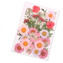 Прессованный цветок смешанные органические натуральные сушеные цветы портативная Коллекция DIY Искусство Цветочные Декорации коллекция подарок P7Ding