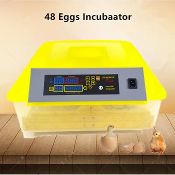 

48 Eggs Brooder Digital Fully Automatic Egg Incubator Poultry Chicken Duck Temperaturn And Humidity Controller Hatching