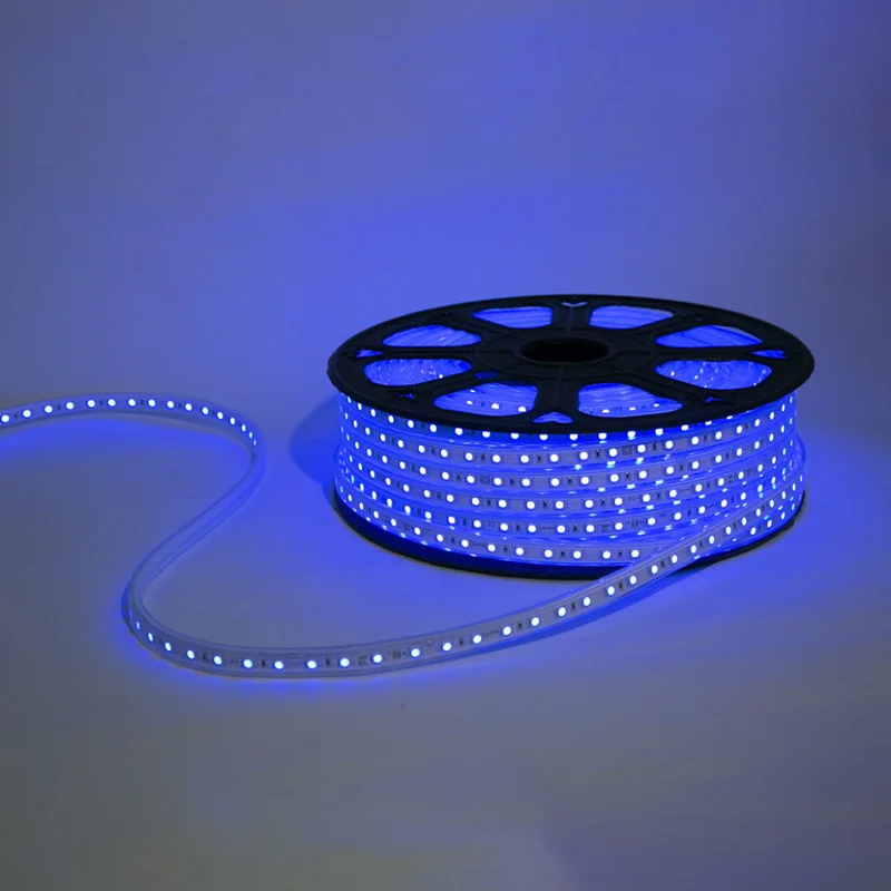 

3M/5M RGB LED Strip Light 60LED/M IR67 Waterproof LED Strips Light Flexible LED Strip Lamp Indoor Decor AC110V/220V/230V/240V