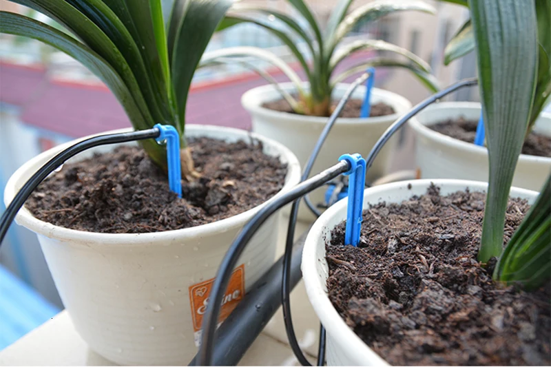 HTB1Kb39X9YH8KJjSspdq6ARgVXav